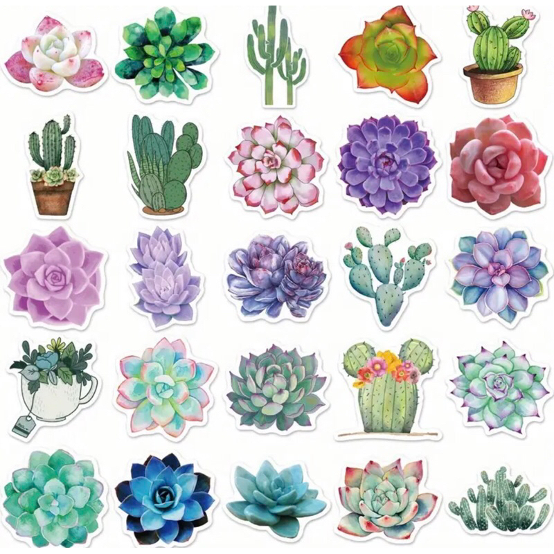 set 60 hình sticker sen đá, xương rồng nhỏ xinh bắt mắt  trang trí sổ tay note book laptop mũ bảo hiểm chống nước tốt