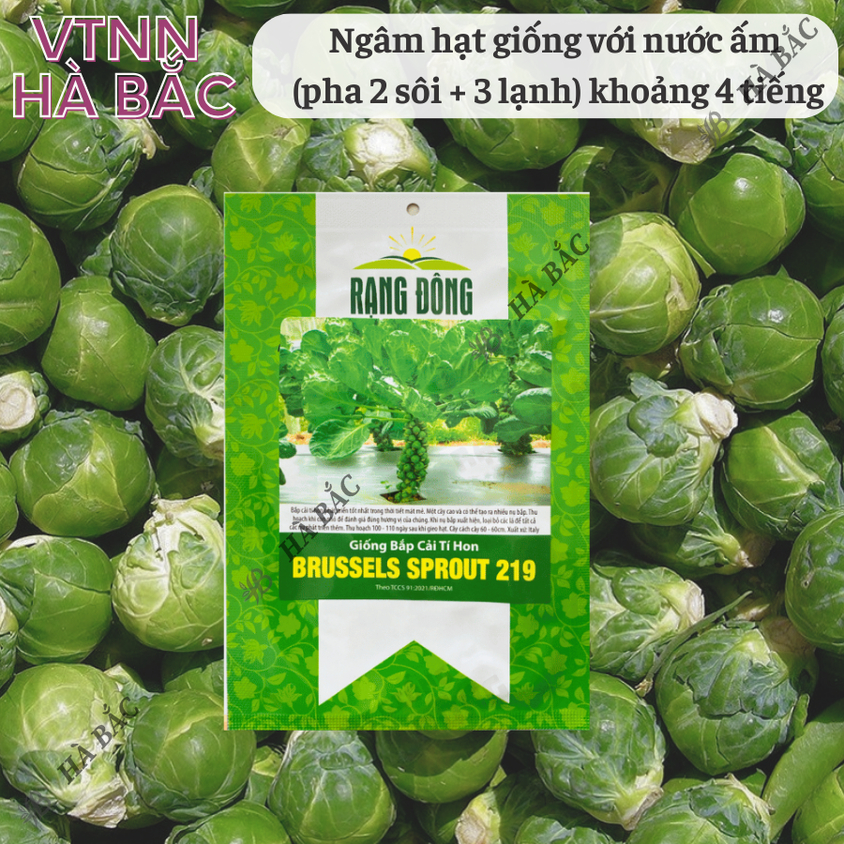 Hạt giống Bắp Cải Tí Hon Brussels Sprout 219 (2gram~600 hạt) sinh trưởng khỏe, năng suất cao