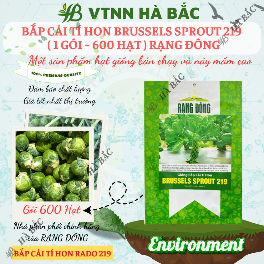 Hạt giống Bắp Cải Tí Hon Brussels Sprout 219 (2gram~600 hạt) sinh trưởng khỏe, năng suất cao