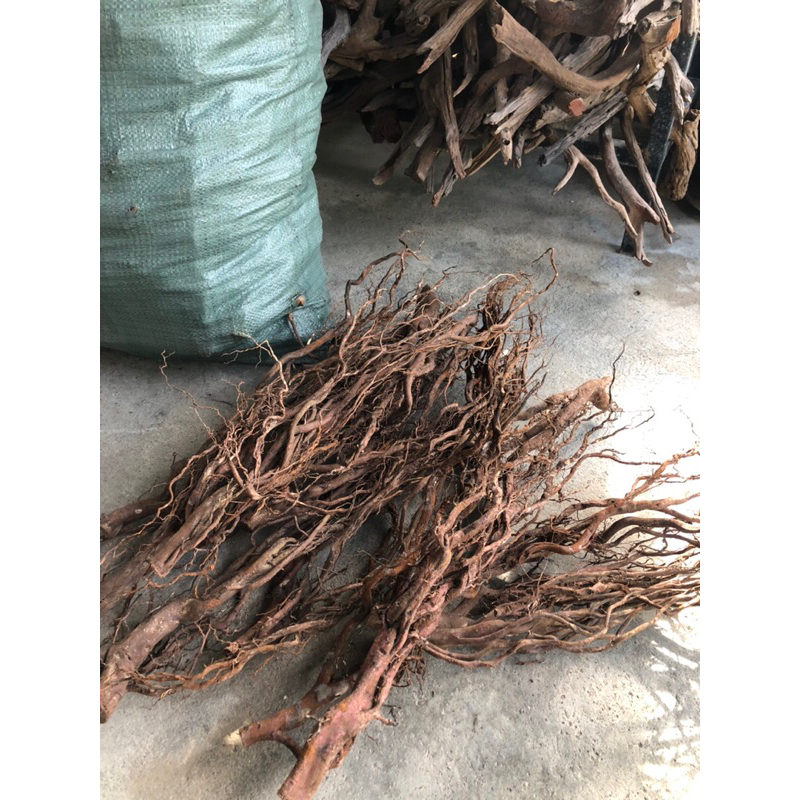 Rể rừng dùng làm layout thuỷ sinh,tiểu cảnh,... ( 100g ) | Shopee Việt Nam