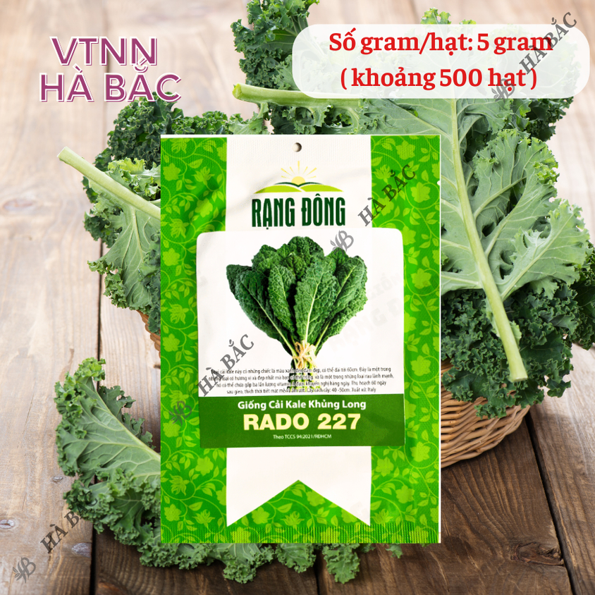 Hạt giống Cải Kale Khủng Long Rado 227 (5gram~500 hạt) giống cải xoăn kale khổng lồ trồng quanh năm