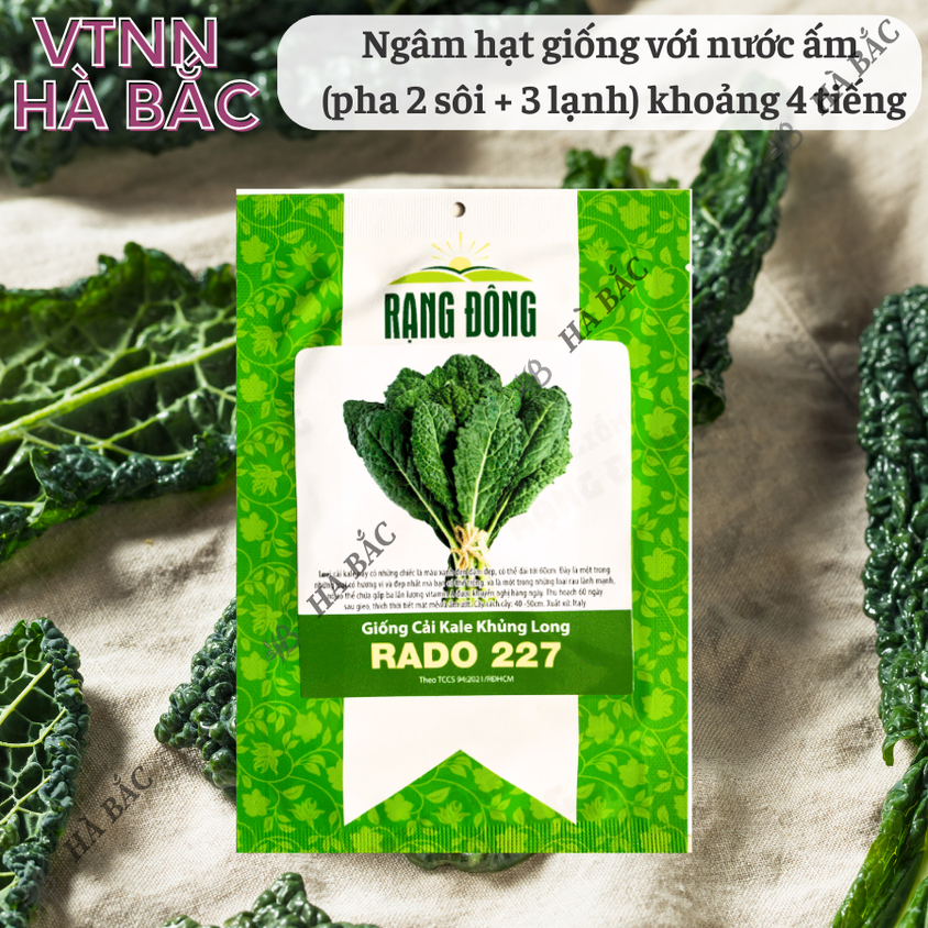 Hạt giống Cải Kale Khủng Long Rado 227 (5gram~500 hạt) giống cải xoăn kale khổng lồ trồng quanh năm