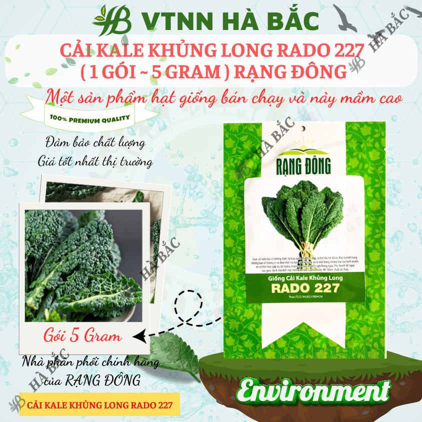 Hạt giống Cải Kale Khủng Long Rado 227 (5gram~500 hạt) giống cải xoăn kale khổng lồ trồng quanh năm