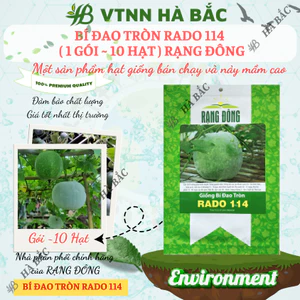 Hạt giống Bí Đao Tròn Rado 114 (0,2gram~10 hạt) trái to, rất thơm, năng suất cao, trồng quanh năm