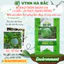 Hạt giống Bí Đao Tròn Rado 114 (0,2gram~10 hạt) trái to, rất thơm, năng suất cao, trồng quanh năm