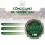 Hộp 45 viên nụ hương bài cao cấp Tân Nguyên, làm từ rễ cây hương bài tự nhiên, thơm dịu ngọt