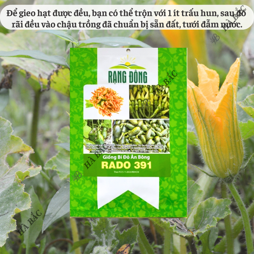 Hạt giống Bí Đỏ Ăn Bông Rado 391 (5gram~40 hạt) nhanh thu hoạch, trồng quanh năm