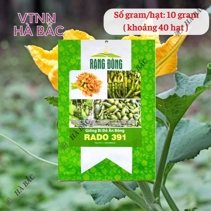 Hạt giống Bí Đỏ Ăn Bông Rado 391 (5gram~40 hạt) nhanh thu hoạch, trồng quanh năm