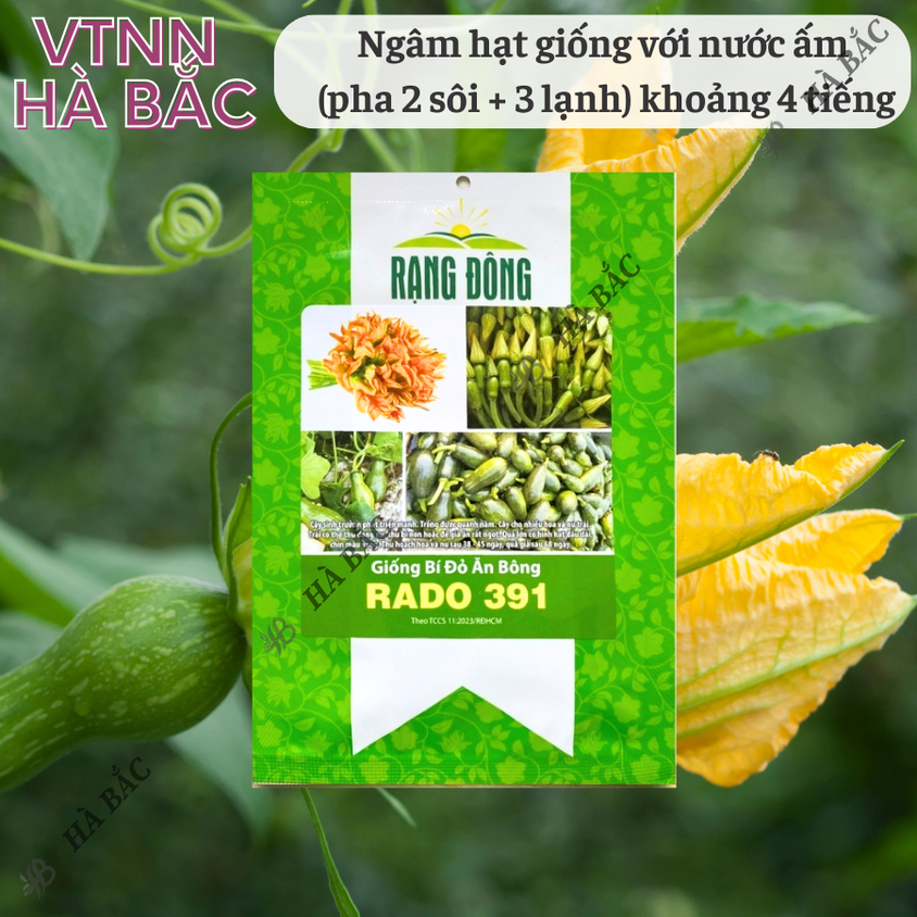 Hạt giống Bí Đỏ Ăn Bông Rado 391 (5gram~40 hạt) nhanh thu hoạch, trồng quanh năm