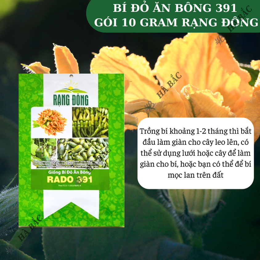 Hạt giống Bí Đỏ Ăn Bông Rado 391 (5gram~40 hạt) nhanh thu hoạch, trồng quanh năm