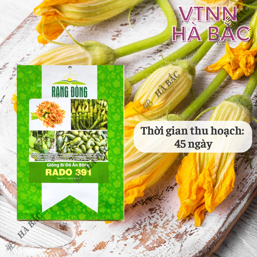 Hạt giống Bí Đỏ Ăn Bông Rado 391 (5gram~40 hạt) nhanh thu hoạch, trồng quanh năm
