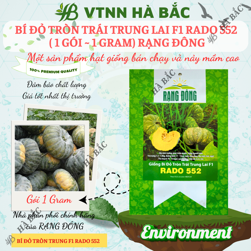 Hạt giống Bí Tròn Trái Trung Lai F1 Rado 552 (1gram~12 hạt) trái to 1.5-1.8 kg, trồng quanh năm