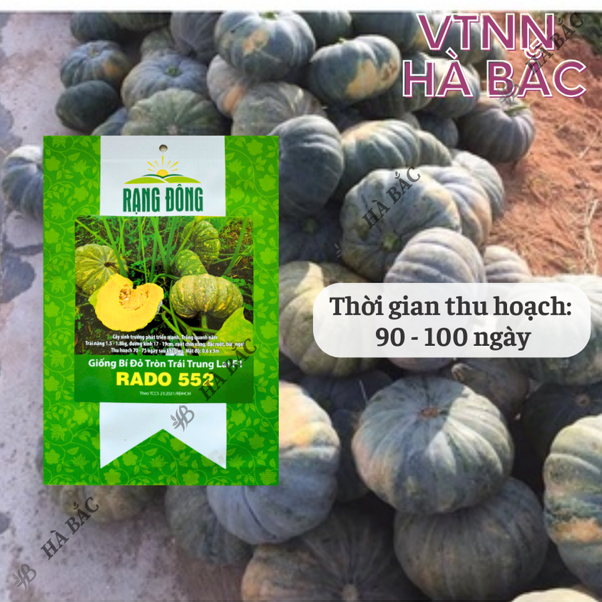 Hạt giống Bí Tròn Trái Trung Lai F1 Rado 552 (1gram~12 hạt) trái to 1.5-1.8 kg, trồng quanh năm
