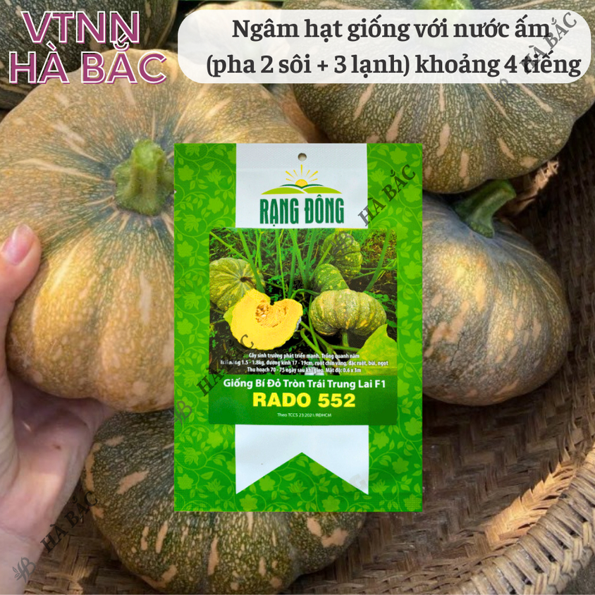 Hạt giống Bí Tròn Trái Trung Lai F1 Rado 552 (1gram~12 hạt) trái to 1.5-1.8 kg, trồng quanh năm