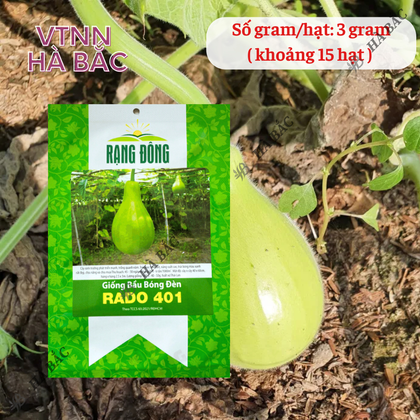Hạt giống Bầu Bóng Đèn Rado 401 (2gram~15 hạt) trái to, vị thơm, ngọt, ruột đặc, trồng quanh năm