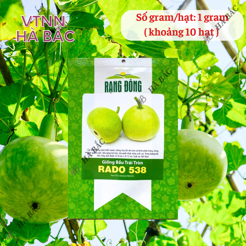 Hạt giống Bầu Trái Tròn Rado 538 (1gram~10 hạt) thịt dày,quả đẹp,trồng quanh năm