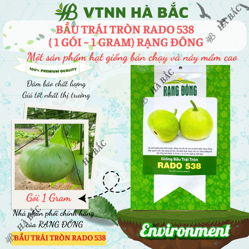 Hạt giống Bầu Trái Tròn Rado 538 (1gram~10 hạt) thịt dày,quả đẹp,trồng quanh năm