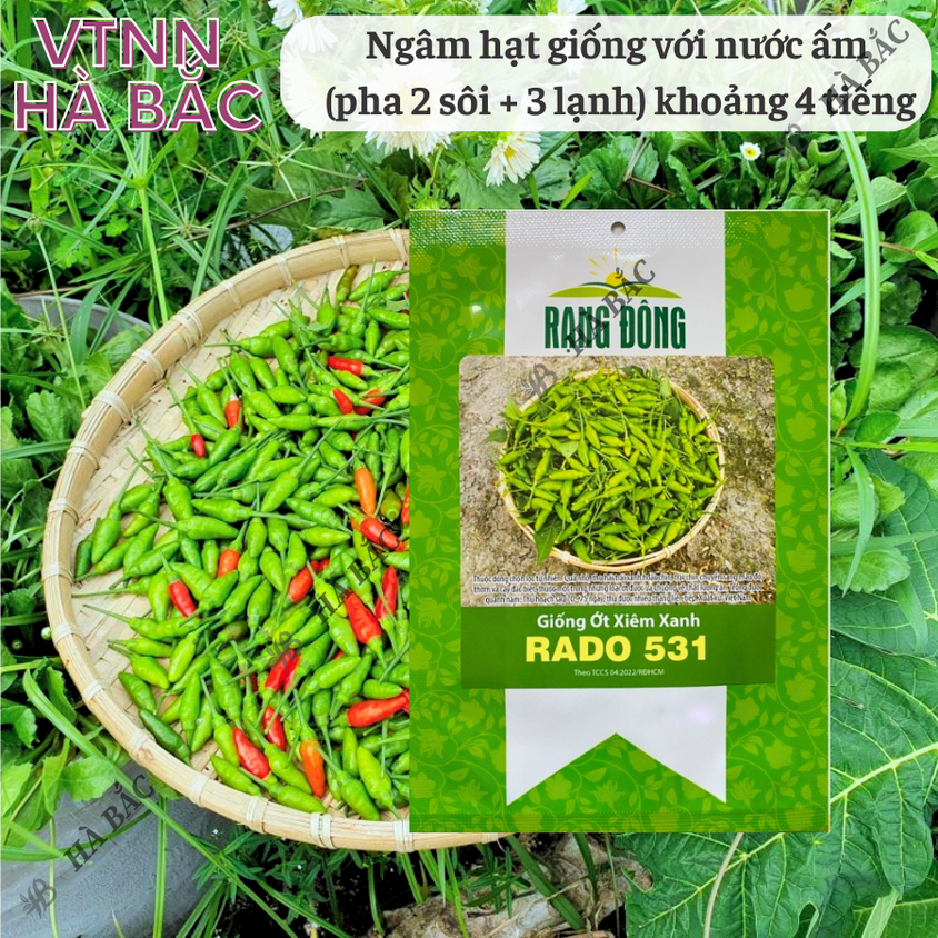 Hạt giống Ớt Xiêm Xanh Rado 531 (0,2gram~30 hạt) trái sai, cây khỏe, sum suê