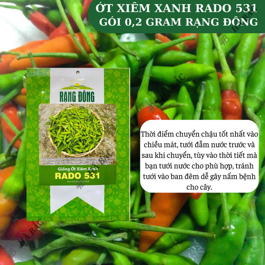 Hạt giống Ớt Xiêm Xanh Rado 531 (0,2gram~30 hạt) trái sai, cây khỏe, sum suê
