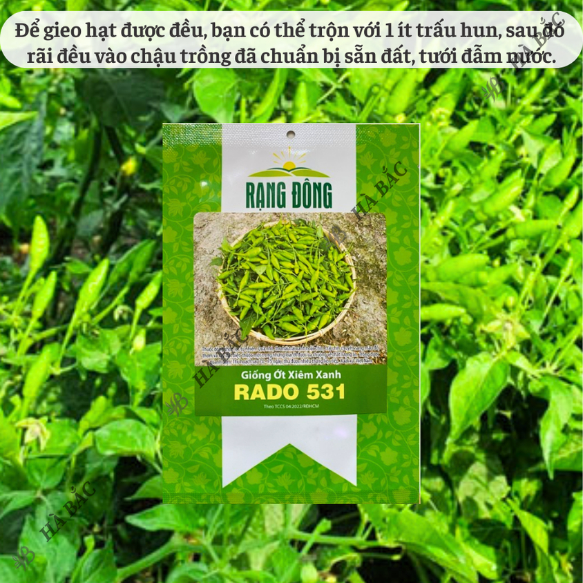 Hạt giống Ớt Xiêm Xanh Rado 531 (0,2gram~30 hạt) trái sai, cây khỏe, sum suê