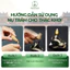 Hộp 45 viên nụ trầm hương khói ngược cao cấp Tân Nguyên, thơm dịu nhẹ, ngắm khói chảy
