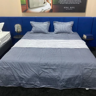 Drap chăn ga Everon EpM 19069 vải Modal màu ghi kẻ sang trọng