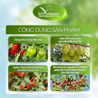 Chế phẩm vi sinh vật TRICODERMA NT 1kg cải tạo đất | BIO VIỆT NAM