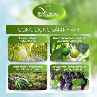 Phân bón hữu cơ sinh học KALI HỮU CƠ BO - ORGANIC BIO ALLICIN trái vào ngọt tự nhiên, trái lớn nhanh, giữ hương vị