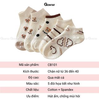 Combo 5 đôi tất nữ cổ ngắn GOMTAT hình gấu, vớ nữ chất cotton mềm mại, co giãn bền form - CB101
