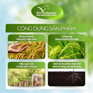 (MUA 10 TẶNG 1) Phân bón hữu cơ BIO SIÊU ĐẺ NHÁNH 250ml giúp cây lúa siêu đẻ nhánh, nở bụi, cứng cây, kích rễ phát triển