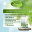 Phân bón hữu cơ BIO SIÊU ĐẺ NHÁNH 250ml giúp cây lúa siêu đẻ nhánh, nở bụi, cứng cây, kích rễ phát triển
