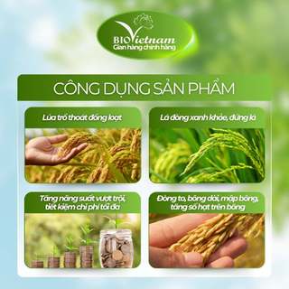 (MUA 10 TẶNG 1) Phân bón lá BIO SIÊU RƯỚC ĐÒNG 250ml dạng nước| BIO VIỆT NAM