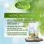 Phân bón hữu cơ BIO VÔ GẠO THẦN TỐC 250ml dạng nước | BIO VIỆT NAM