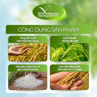 (MUA 10 TẶNG 1) Phân bón hữu cơ BIO VÔ GẠO THẦN TỐC 250ml dạng nước | BIO VIỆT NAM