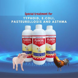 Thuốc thú y Flocol Vb của Pharma trị tiêu hóa, hô hấp cho heo gà vịt ngan gia súc gia cầm