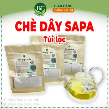 [40 gói] Chè dây (trà dây) SaPa túi lọc, hỗ trợ đau dạ dày, trào ngược dạ dày, loại bỏ khuẩn HP, tiện sử dụng