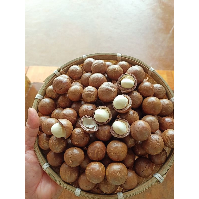 1 kg ( 2 bịch)   mac ca size trung  sấy tách nứt vỏ thơm ngon bao ăn cho khách