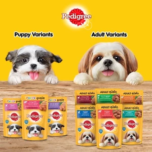 Thanh lý Pate cho Chó Pedigree [Gói 80g - 130g ] __