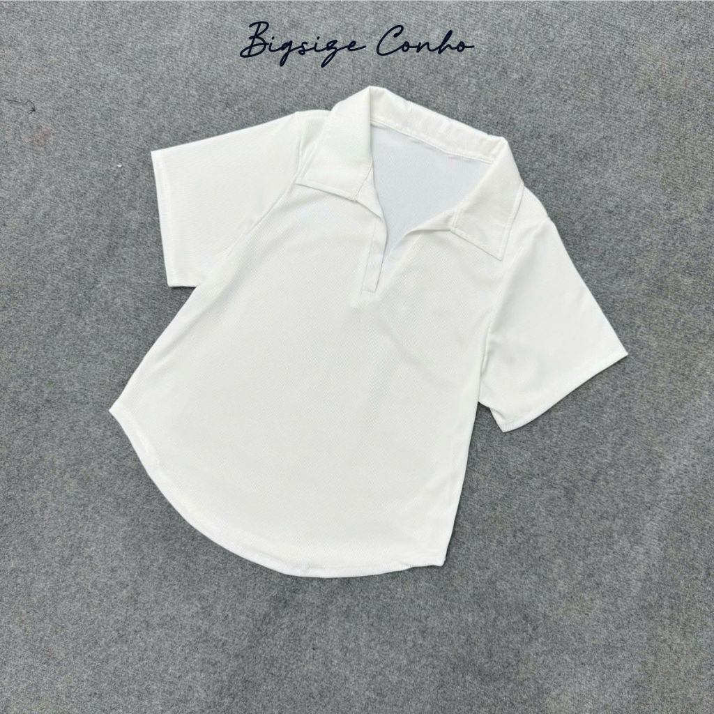 Áo Thun Kiểu  Cổ Trụ Bigsize Nữ Tay Ngắn Tôn Dáng Chất Vải Mềm Mại  Thoải Mái Cho Các Nàng Chubby 50-95kg G178