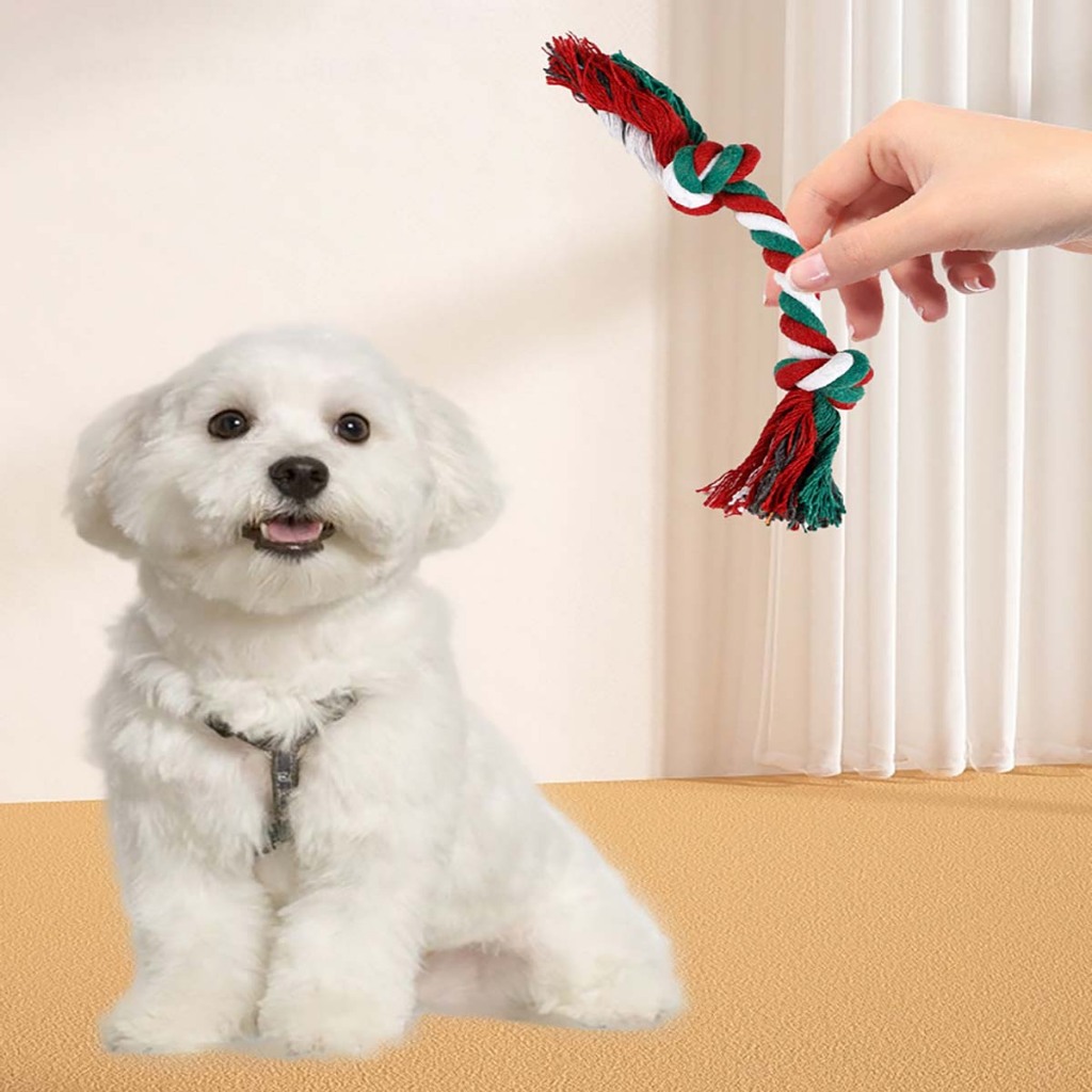 Đồ Chơi Dây Thừng Mềm Cho Chó Con Cún Vẹt Mèo Poodle Corgi Béc Bỉ Phốc Sóc Hay Gặm Ngứa Răng Huấn Luyện Cắn Tự Động