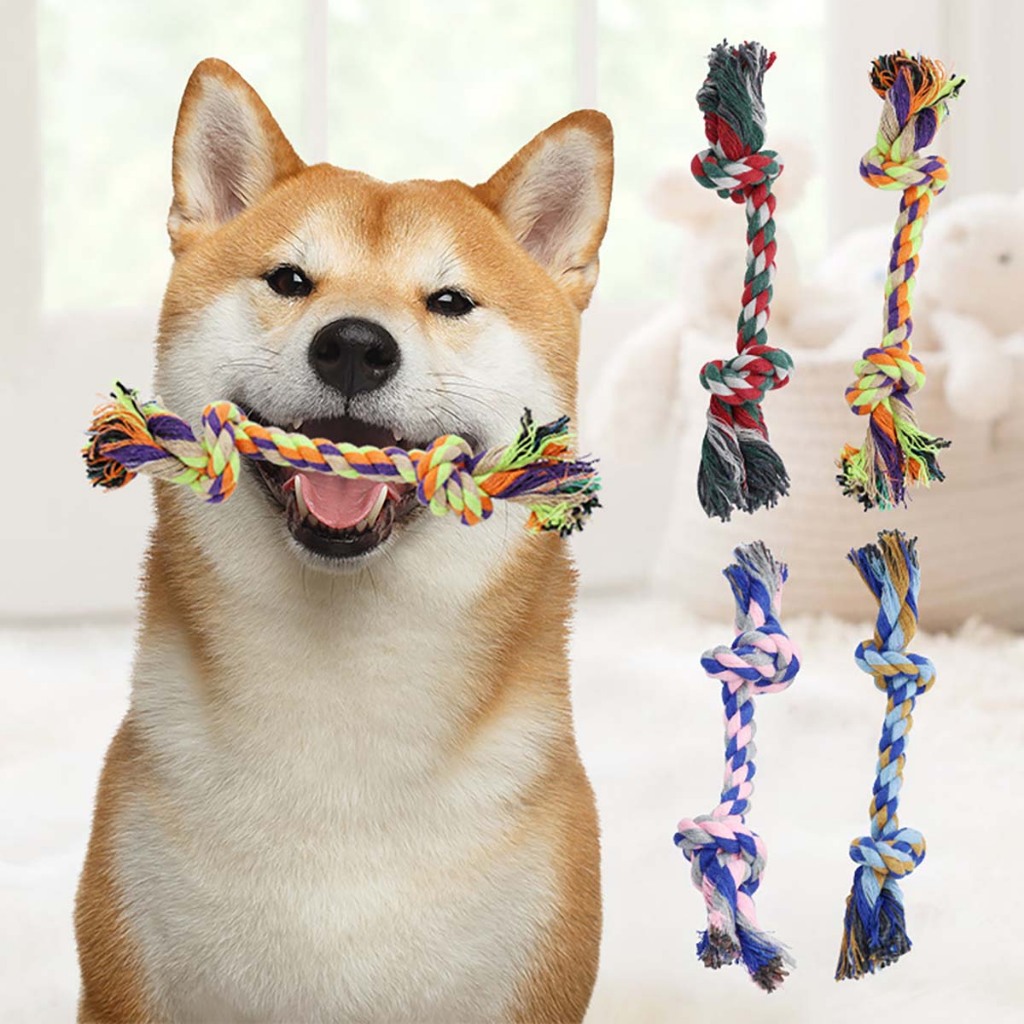 Đồ Chơi Dây Thừng Mềm Cho Chó Con Cún Vẹt Mèo Poodle Corgi Béc Bỉ Phốc Sóc Hay Gặm Ngứa Răng Huấn Luyện Cắn Tự Động