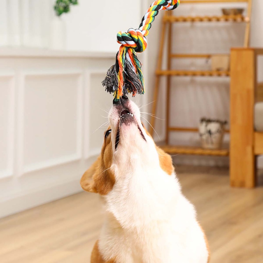 Đồ Chơi Dây Thừng Mềm Cho Chó Con Cún Vẹt Mèo Poodle Corgi Béc Bỉ Phốc Sóc Hay Gặm Ngứa Răng Huấn Luyện Cắn Tự Động