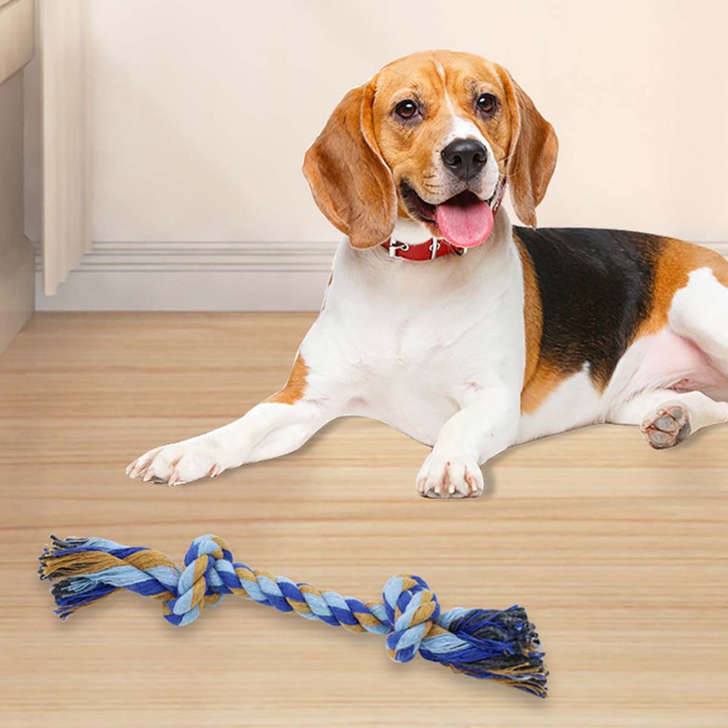 Đồ Chơi Dây Thừng Mềm Cho Chó Con Cún Vẹt Mèo Poodle Corgi Béc Bỉ Phốc Sóc Hay Gặm Ngứa Răng Huấn Luyện Cắn Tự Động