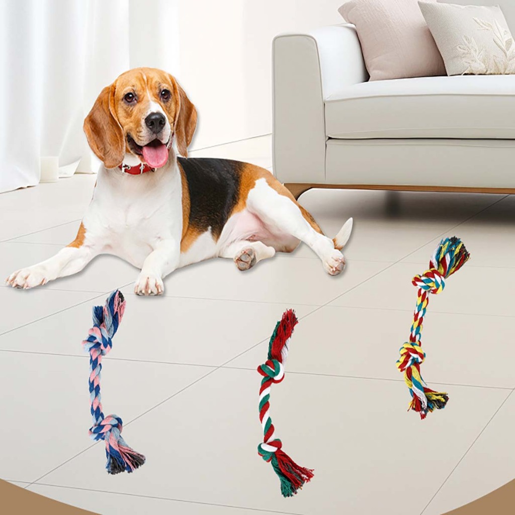 Đồ Chơi Dây Thừng Mềm Cho Chó Con Cún Vẹt Mèo Poodle Corgi Béc Bỉ Phốc Sóc Hay Gặm Ngứa Răng Huấn Luyện Cắn Tự Động