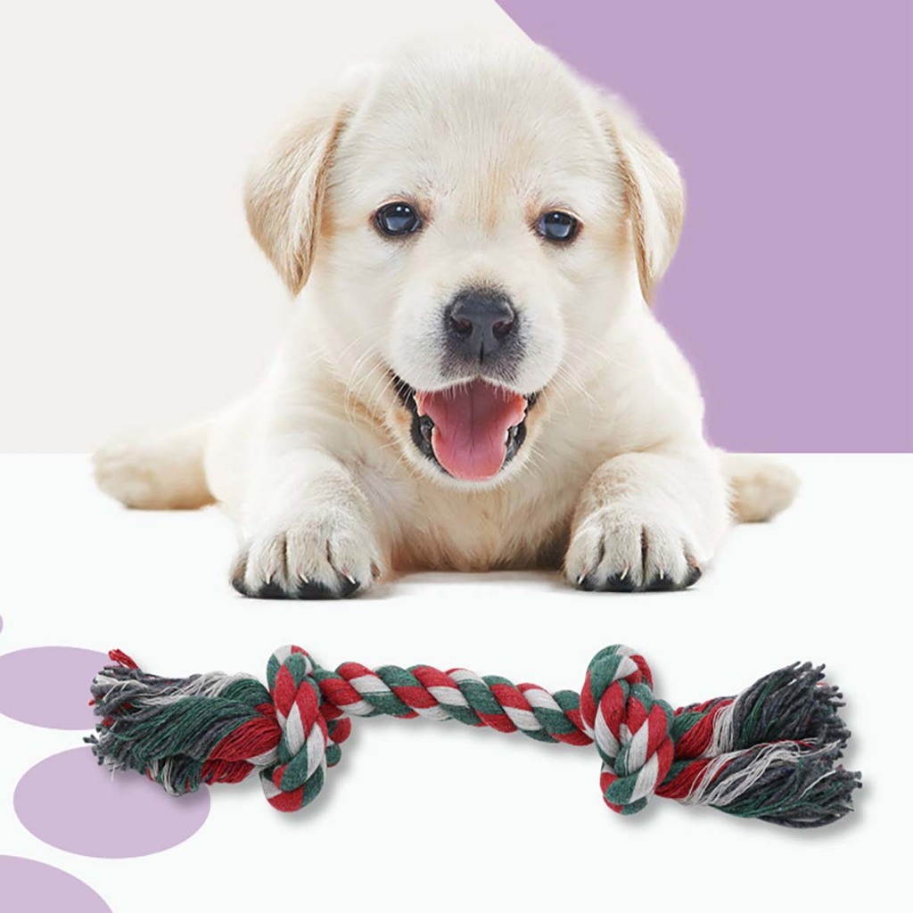 Đồ Chơi Dây Thừng Mềm Cho Chó Con Cún Vẹt Mèo Poodle Corgi Béc Bỉ Phốc Sóc Hay Gặm Ngứa Răng Huấn Luyện Cắn Tự Động