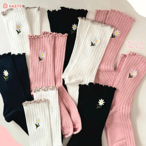Tất Vớ Cổ Cao Viền Bèo Thêu Hình Hoa Cúc Daisy Chất Cotton Dành Cho Nữ