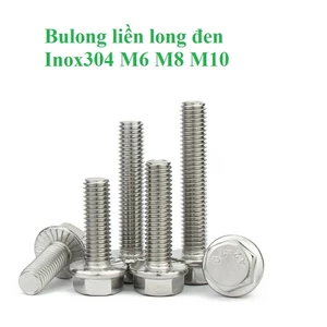 5 cái bulong M6-M10 Bulong liền long đen inox304 M6,M8, M10