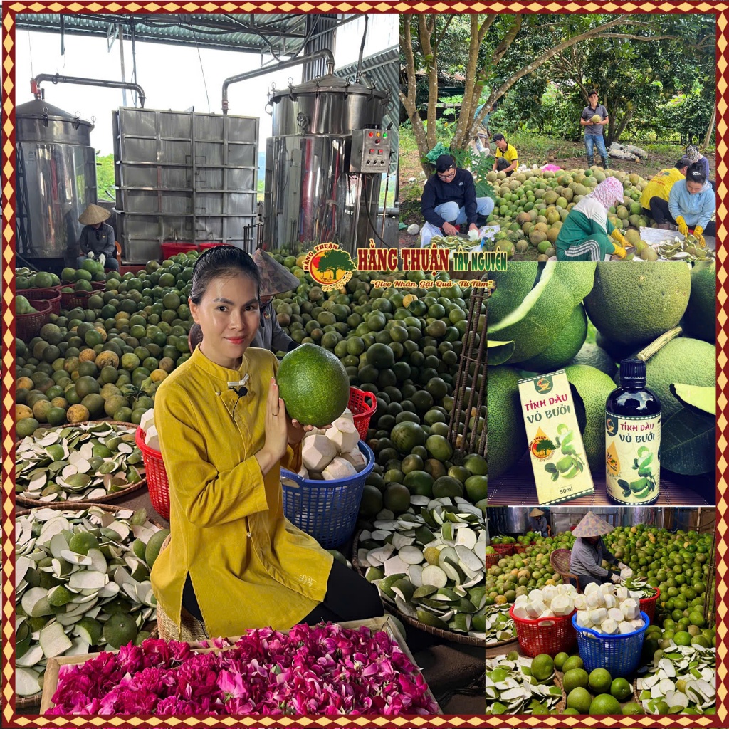 Dầu Xả Thảo Dược Với Chiết Xuất Vỏ Bưởi - Sự Hòa Quyện Tự Nhiên Cho Tóc