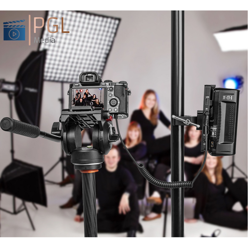PIN ảo cho máy ảnh Sony Alpha( pin ảo fz100, fw50 cho sony ) | Shopee ...
