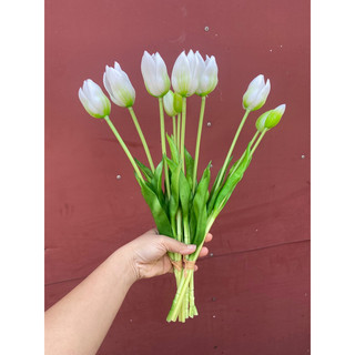 Bộ hoa tulip nở cao su màu trắng làm hoa cưới 3 bông 2 nụ
